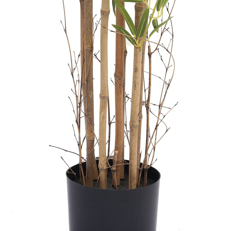 plastic bamboo plants