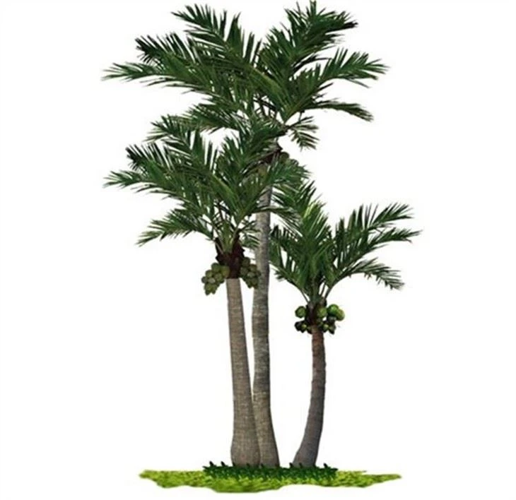 Cây dừa nhân tạo ngoài trời