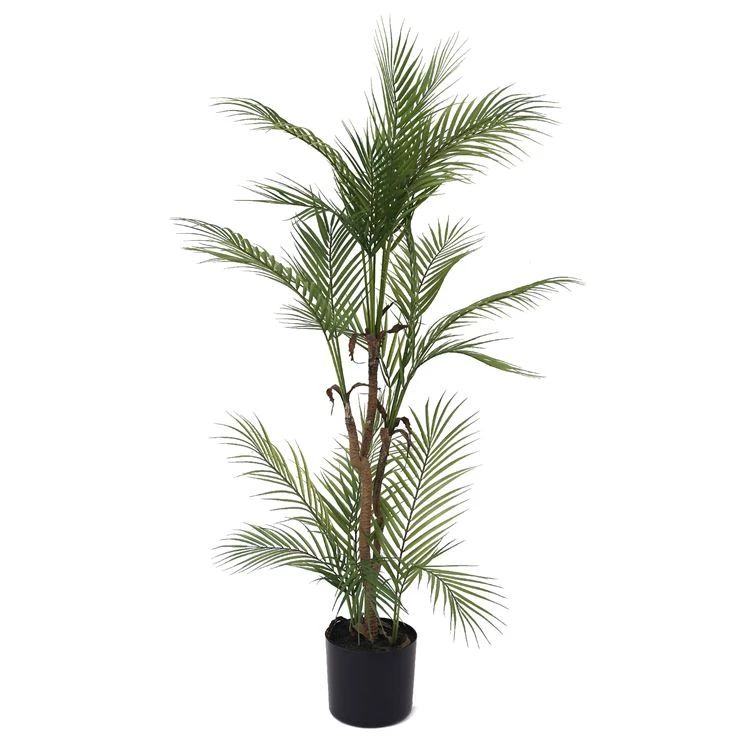 Thực vật mô phỏng là gì