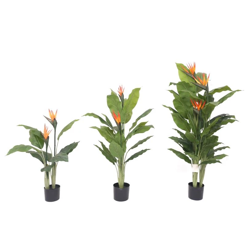 Ưu điểm của cây mô phỏng là gì