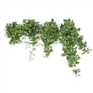 Nhà máy Pothos nhân tạo